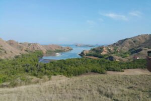 Wisatawan trekking di Pulau Rinca Labuan Bajo sambil menikmati pemandangan savana dan bertemu komodo