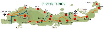 Landscape Pulau Flores dengan perbukitan hijau dan garis pantai alami di Indonesia
