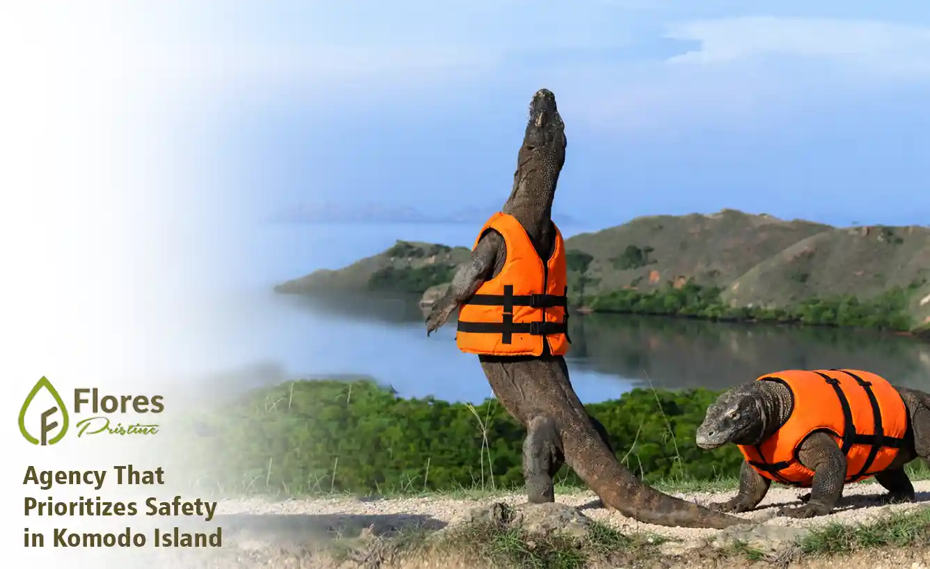 Flores Pristine Tour Agency That Prioritizes Safety in Komodo Island