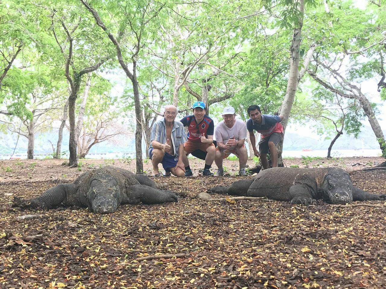 Panduan lengkap waktu terbaik mengunjungi Pulau Komodo, termasuk musim ideal, cuaca, dan tips wisata bagi traveler