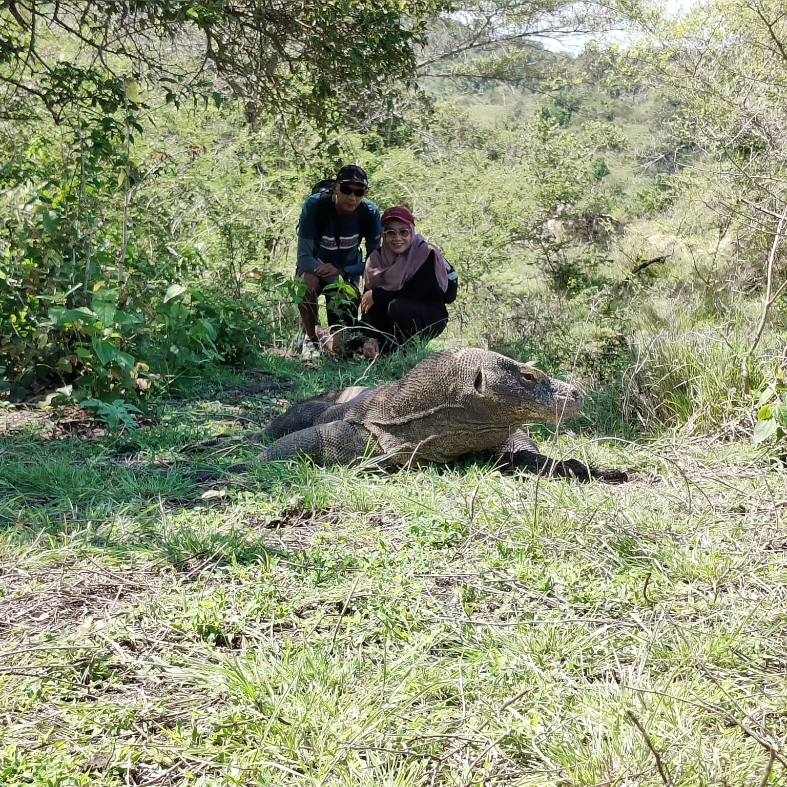 3 Days 2 Nights Labuan Bajo tour featuring island hopping scenic hills and crystal clear waters