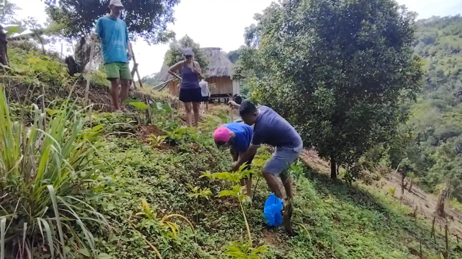 Farming and gardening | flores komodo tour organizer Farming and Gardening