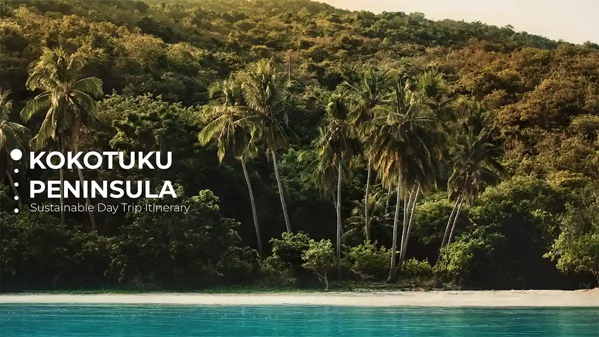 Kokotuku Peninsula Sustainable Day Trip from Labuan Bajo featuring Pasir Panjang Beach, mangrove boat tour, village visit, and swimming at Rangko Cave