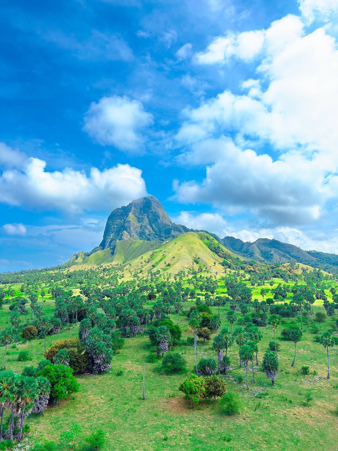 Pulau Mules tour package with white sand beach in Flores