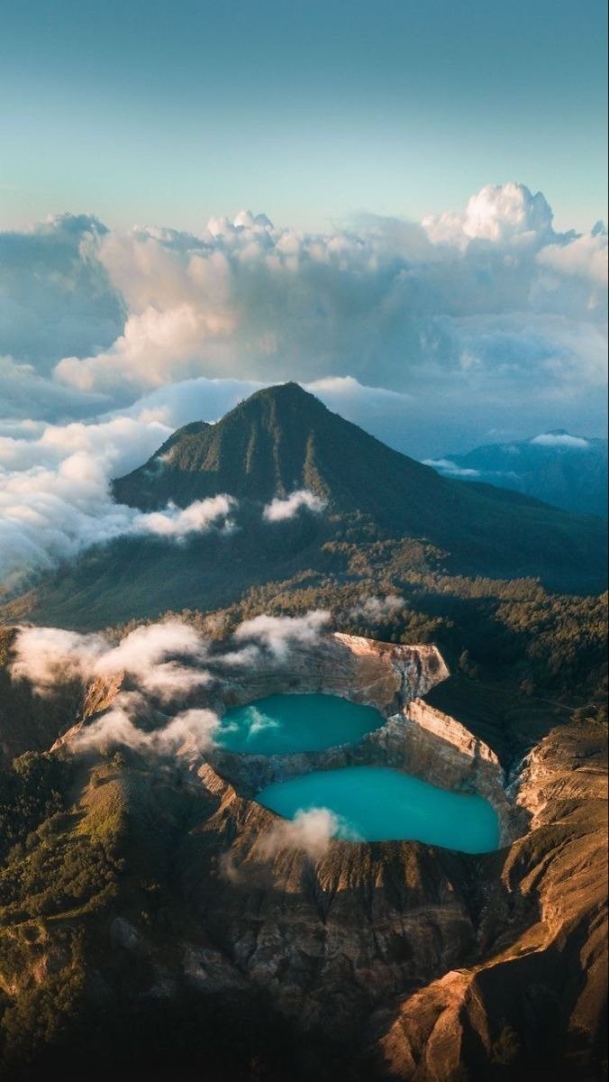 natural atraction of flores