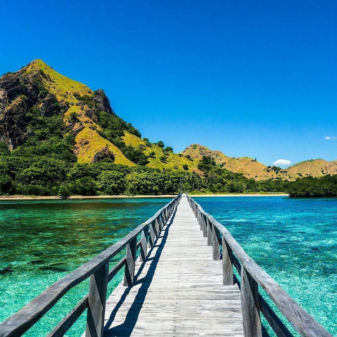 snorkeling tour to Manjarite Island from Labuan Bajo and explore clear waters colorful coral reefs and tropical fish