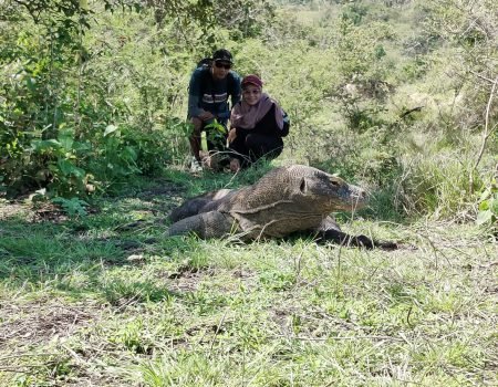“3 Days 2 Nights Labuan Bajo tour featuring island hopping, scenic hills, and crystal-clear waters.”