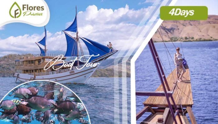 Komodo Tour Package