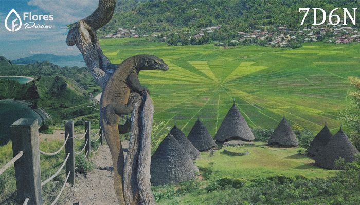 West Flores Adventure Tour Ruteng, Wae Rebo & Komodo Dragon Expedition