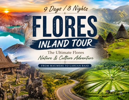 Flores Nature & Culture Tour featuring Kelimutu Lakes, Wae Rebo Village, and Spider Web Rice Fields on a 9 Days 8 Nights Flores Inland Tour.