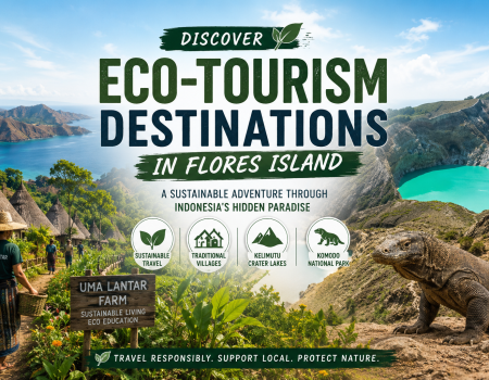 Eco-tourism destinations in Flores Island featuring Uma Lantar Farm, traditional villages, Kelimutu crater lakes, and Komodo National Park with a sustainable travel theme. Image Title: