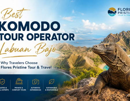 Best Komodo Tour Operator Labuan Bajo – promotional banner featuring a large Komodo dragon in the foreground with the stunning landscape of Komodo National Park, including Padar Island’s iconic hills, turquoise waters, and white-sand beaches. The banner highlights Flores Pristine Tour & Travel as a trusted local tour operator offering private tours, authentic experiences, comfort, and sustainable travel in Labuan Bajo, Flores, Indonesia.