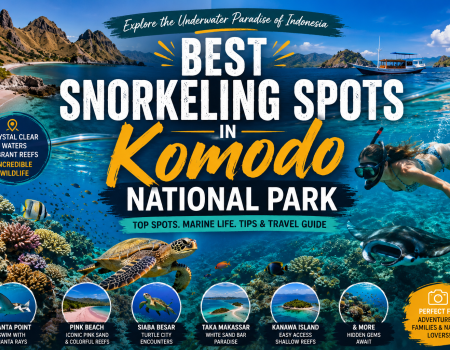 Promotional poster for Komodo National Park snorkeling with a diver, turtle, manta, and colorful reefs.