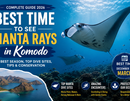Best Time to See Manta Rays in Komodo – a large manta ray swimming above a colorful coral reef in Komodo National Park, Indonesia, with scenic Komodo islands in the background. Travel guide cover highlighting the best season, top dive sites, snorkeling experiences, and manta ray conservation from December to March.