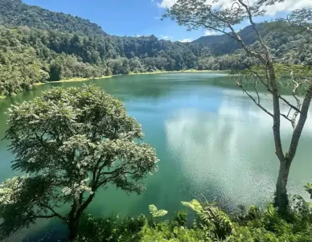 Explore Flores Island’s stunning landscapes, vibrant culture, and unique wildlife while enjoying an eco-friendly adventure that supports local communities