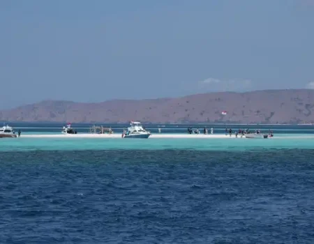 Explore Eastern Indonesia’s natural beauty and cultural richness with Pristine Tour, experiencing untouched landscapes, traditional villages, and unique wildlife