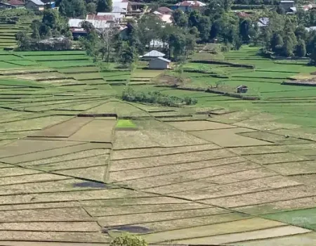 Join Pristine Tour to explore Flores Island responsibly, enjoying eco-friendly travel, local culture, pristine beaches, and breathtaking landscapes while supporting sustainable tourism