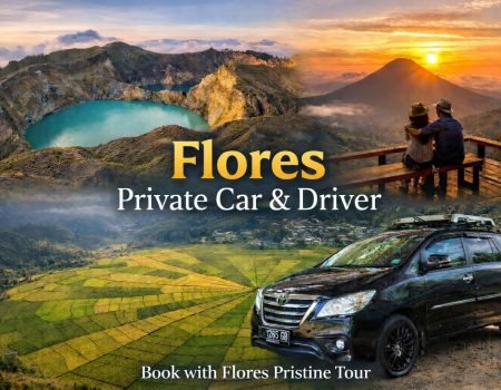 Flores Private Car Driver - Book with Flores Pristine Tour for a personalized Flores Island experience