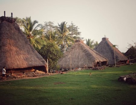 Flores Tour from Labuan Bajo