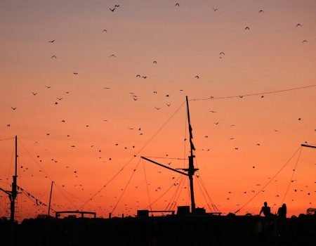 Flores to Komodo boat trip exploring Komodo National Park, island hopping, snorkeling, and enjoying stunning ocean views