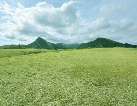 The Beautiful Green Grasslands of Mausui