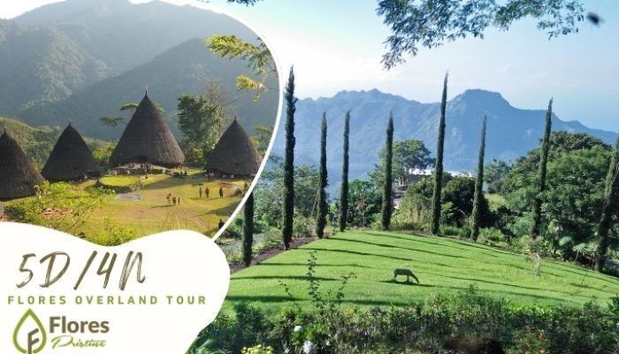 5D4N. Flores Overland Tour Labuan Bajo, Bajawa, Ende, Maumere