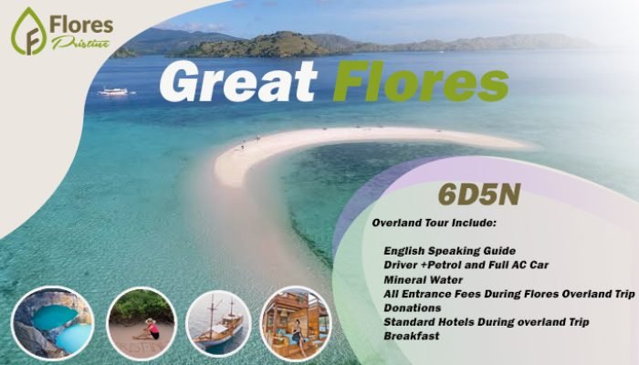 komodo tour package