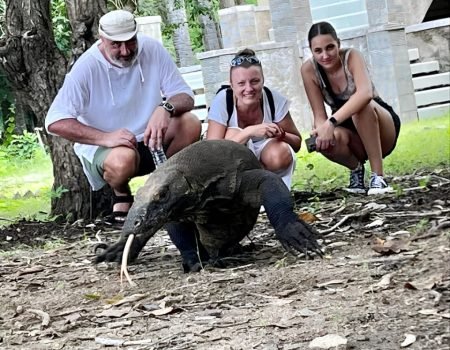 Komodo Tour