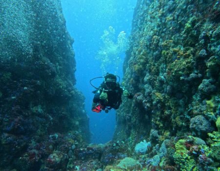 Komodo diving and snorkeling trip exploring colorful coral reefs and diverse marine life in crystal-clear waters