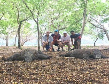 Panduan lengkap waktu terbaik mengunjungi Pulau Komodo, termasuk musim ideal, cuaca, dan tips wisata bagi traveler