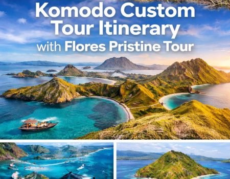 Komodo custom tour itinerary exploring Komodo Island and Komodo dragons