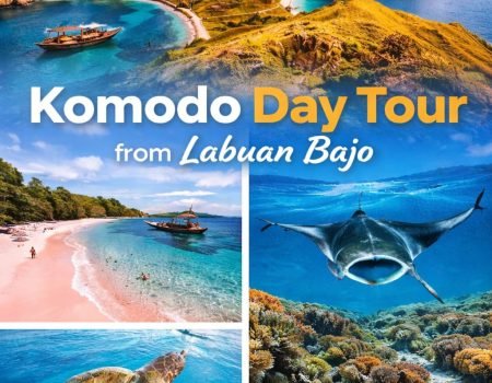 Komodo Day Tour from Labuan Bajo – explore Komodo Island, Padar Island, Pink Beach, and snorkeling spots in one day
