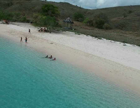 Discover Flores' wild beauty on a Komodo Island Tour, featuring Komodo dragons and island adventures with Pristine Tour