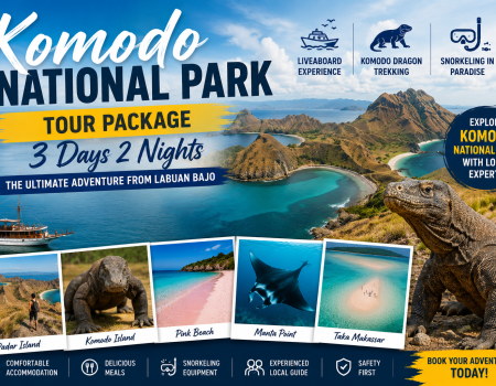 Komodo National Park Tour Package 3 Days 2 Nights featuring Padar Island viewpoint, Komodo dragon trekking, Pink Beach, and snorkeling in Labuan Bajo, Indonesia.