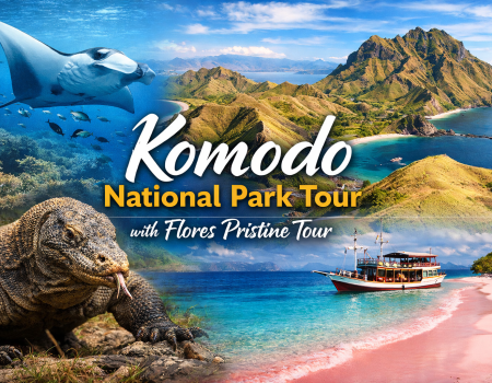 Komodo National Park tour featuring Komodo dragons, Padar Island, Pink Beach, and snorkeling spots
