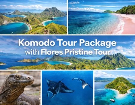 Komodo Tour Package with Flores Pristine Tour – Padar Island, Pink Beach, Komodo Dragon, Manta Point and Kelor Island
