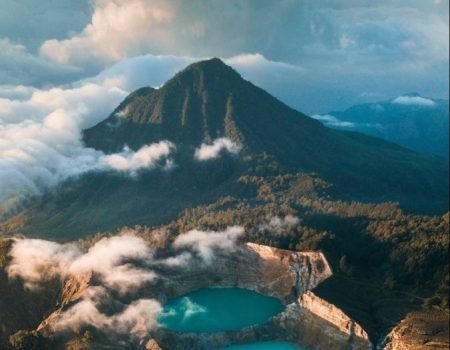 natural atraction of flores