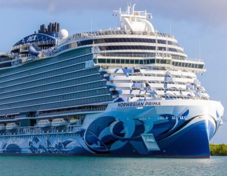 Norwegian Prima Cruise Ship-Komodo Island Shore Excursion