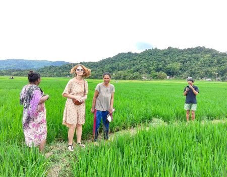 Scenic view of Rawi Rice Field showcasing eco-tourism in Indonesia, featuring lush green terraces and sustainable farming practices.