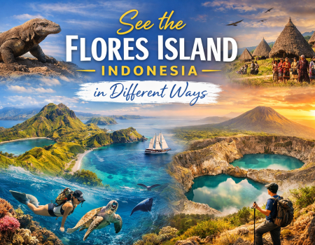 See the Flores Island, Indonesia in Different Ways – a vibrant collage featuring Komodo dragons, Padar Island landscapes, Kelimutu crater lakes, snorkeling, sailing, and local village life in Flores, Indonesia.