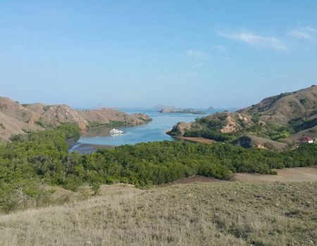 Wisatawan trekking di Pulau Rinca, Labuan Bajo, sambil menikmati pemandangan savana dan bertemu komodo