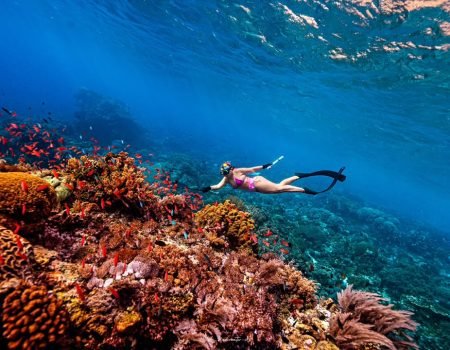 Snorkeling adventure in the crystal-clear waters of Alor Island, exploring vibrant coral reefs and tropical marine life.