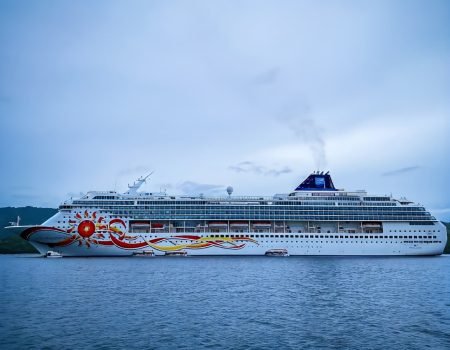 The World Cruise Ship-Komodo Tour from Cruise Ship