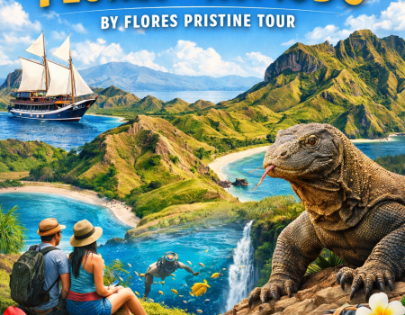 Travel Tips for Flores & Komodo, Indonesia – scenic landscapes, Komodo dragon, Phinisi boat, tropical beaches, and adventure travel by Flores Pristine Tour.