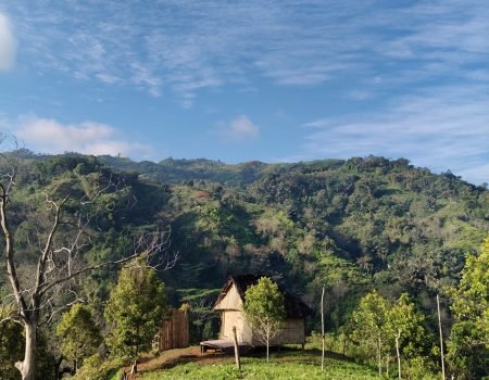 Uma Lantar Eco-Stay in Flores promotes sustainable living through eco-friendly architecture, organic farming, and community-based tourism experiences.