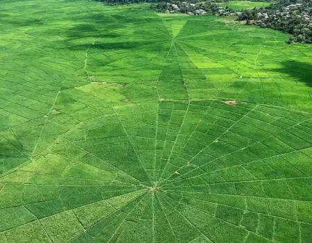 Aerial view of Spider Web Rice Field (Lingko Cara) in Ruteng, Flores, showing unique circular rice field patterns divided like a spider web.
