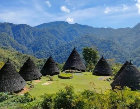 komodo tour package