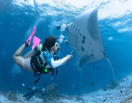 Best Diving Spots in Komodo with Pristine Tour: