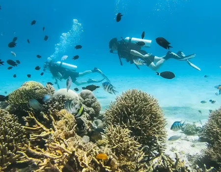 Mawan Island- A Diver's Paradise in Labuan Bajo