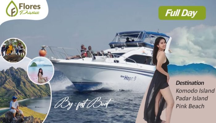 full day tour by fast boat